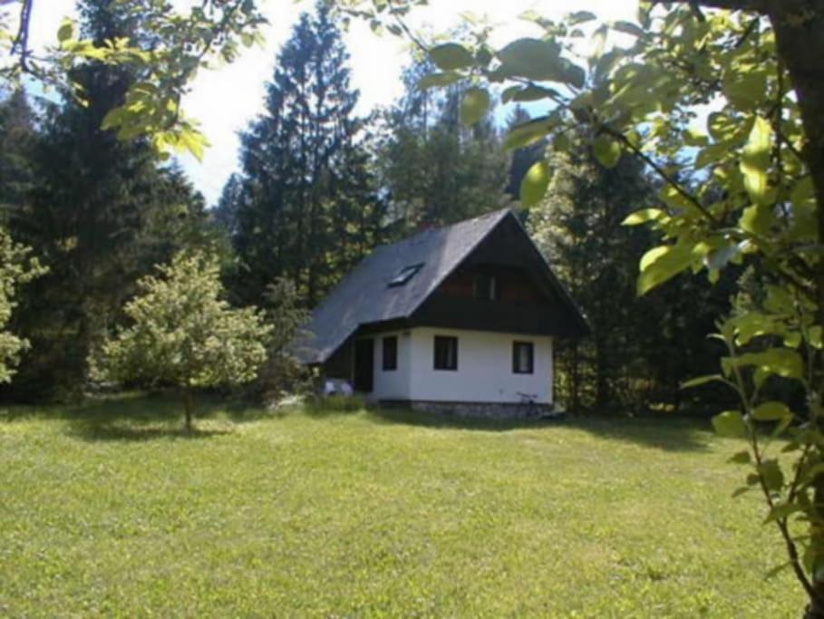Apartment Lake Bohinj No. 5 מראה חיצוני תמונה