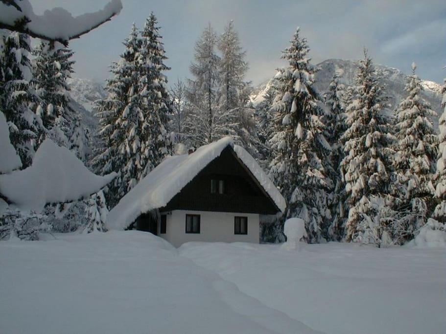 Apartment Lake Bohinj No. 5 מראה חיצוני תמונה