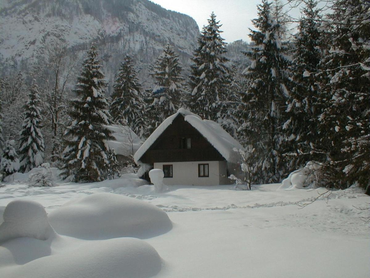 Apartment Lake Bohinj No. 5 מראה חיצוני תמונה